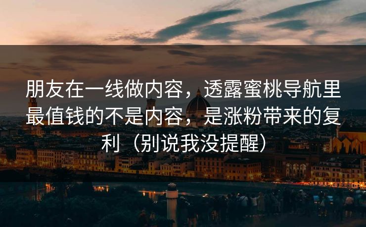朋友在一线做内容，透露蜜桃导航里最值钱的不是内容，是涨粉带来的复利（别说我没提醒）