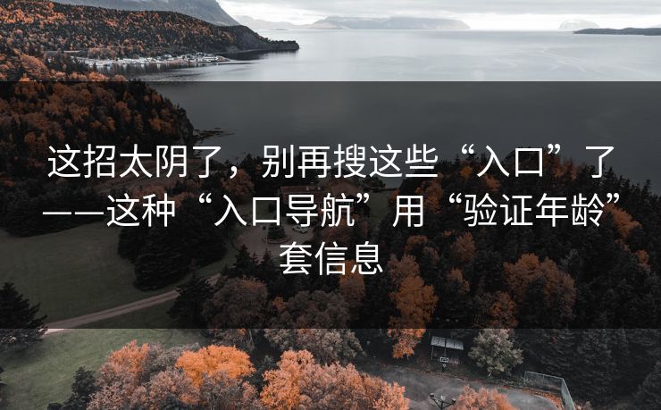 这招太阴了，别再搜这些“入口”了——这种“入口导航”用“验证年龄”套信息