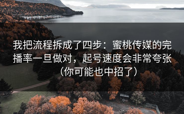 我把流程拆成了四步：蜜桃传媒的完播率一旦做对，起号速度会非常夸张（你可能也中招了）
