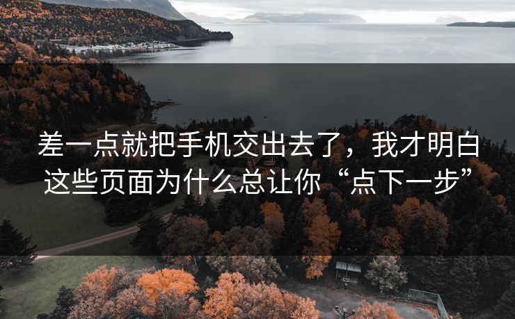 差一点就把手机交出去了，我才明白这些页面为什么总让你“点下一步”