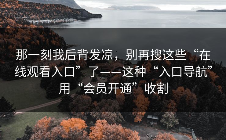 那一刻我后背发凉，别再搜这些“在线观看入口”了——这种“入口导航”用“会员开通”收割
