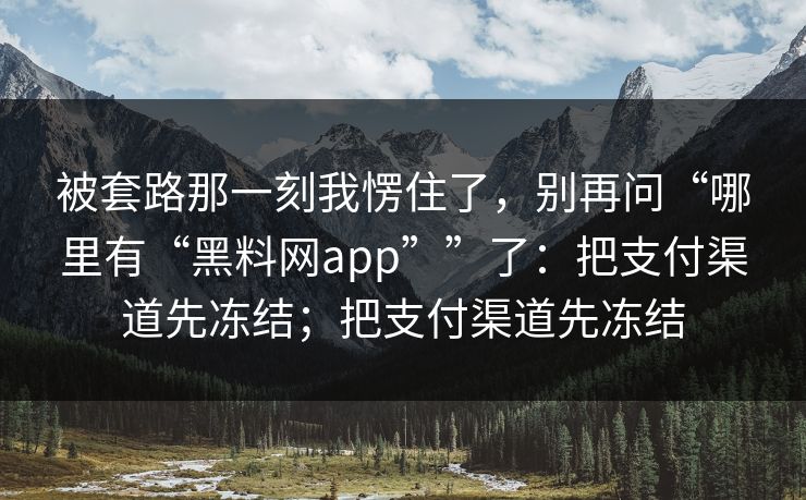 被套路那一刻我愣住了，别再问“哪里有“黑料网app””了：把支付渠道先冻结；把支付渠道先冻结