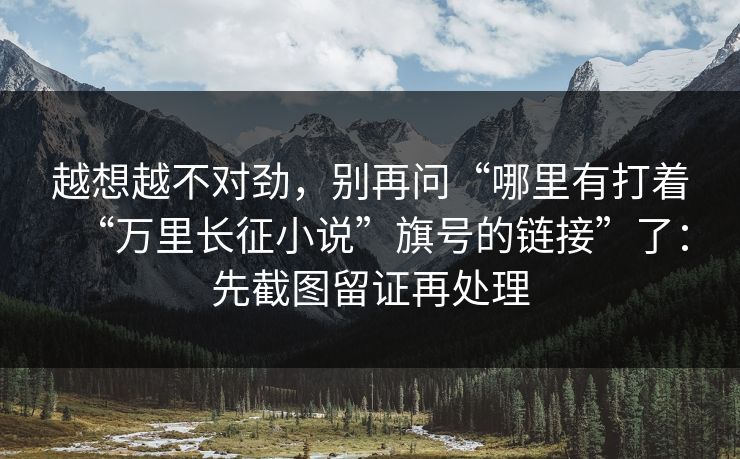 越想越不对劲，别再问“哪里有打着“万里长征小说”旗号的链接”了：先截图留证再处理
