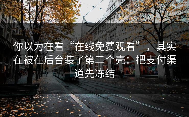 你以为在看“在线免费观看”，其实在被在后台装了第二个壳：把支付渠道先冻结