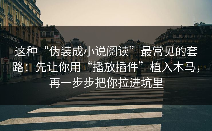 这种“伪装成小说阅读”最常见的套路：先让你用“播放插件”植入木马，再一步步把你拉进坑里