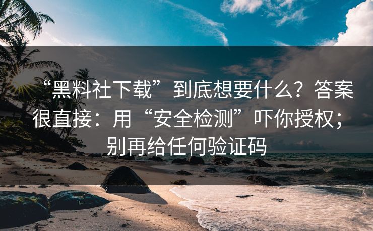 “黑料社下载”到底想要什么？答案很直接：用“安全检测”吓你授权；别再给任何验证码