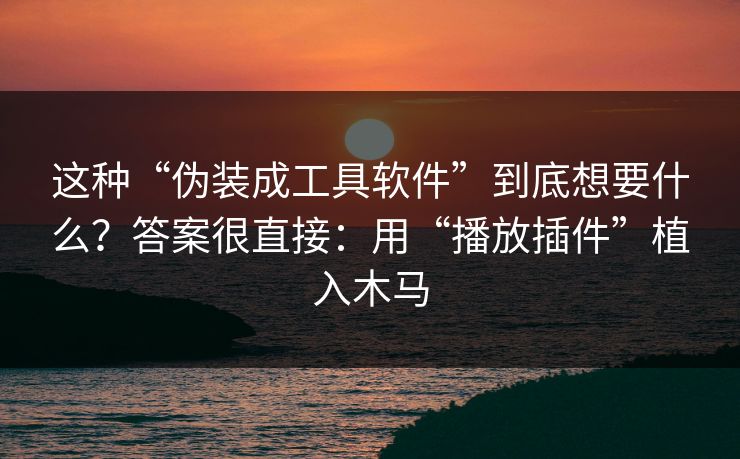 这种“伪装成工具软件”到底想要什么？答案很直接：用“播放插件”植入木马