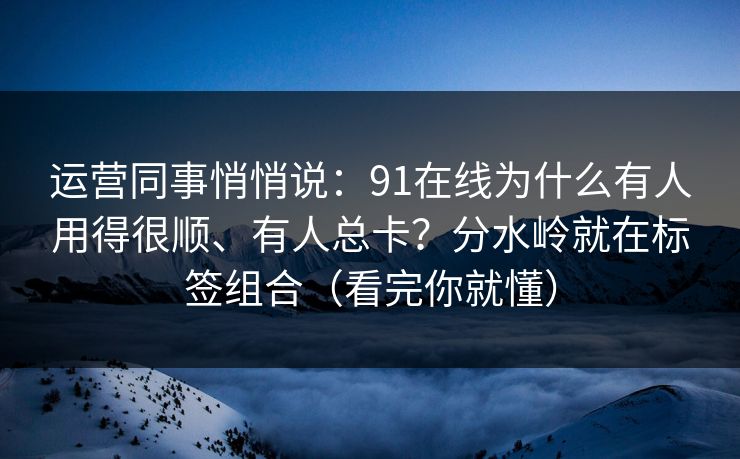 运营同事悄悄说：91在线为什么有人用得很顺、有人总卡？分水岭就在标签组合（看完你就懂）